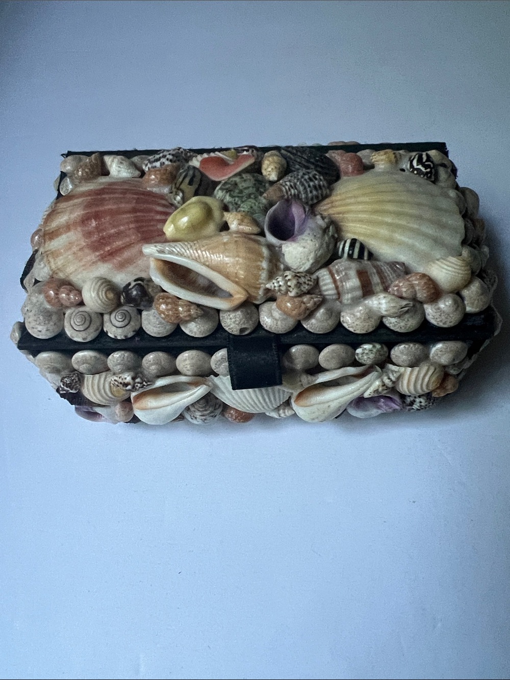 Handmade Seashell Jewelry Box in Natural Tones